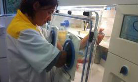 Greenvalley International