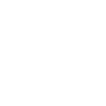 konijn wit